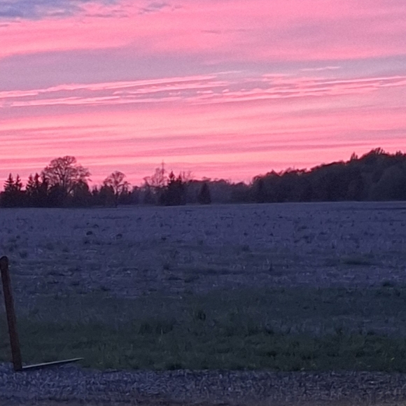 Meet your Posher, Lauren - Picture 1 of 1